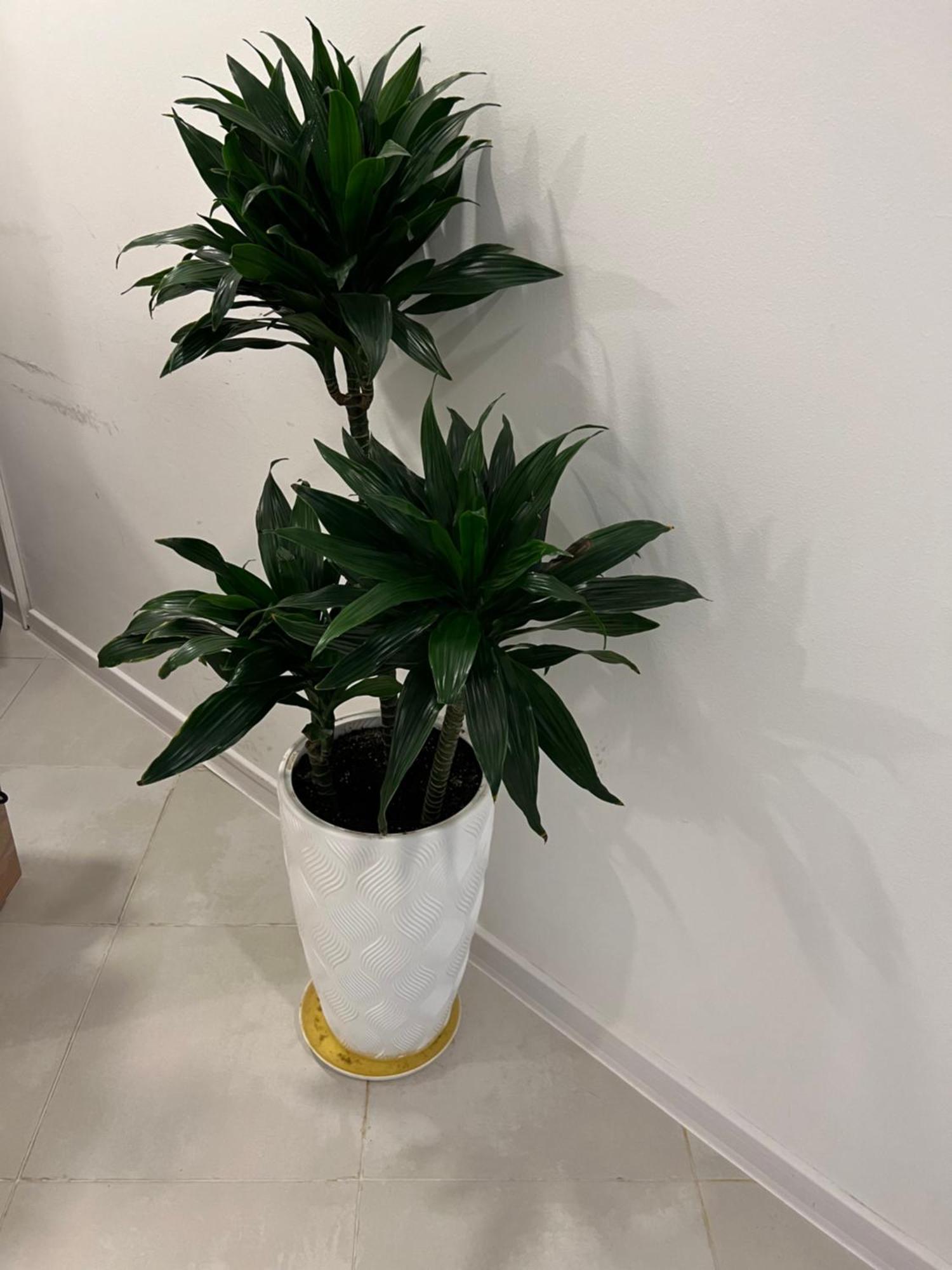 Apple Cozy Hotel Τυφλίδα Εξωτερικό φωτογραφία